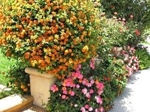 �������������� ����: ����� ����������� ����� ��� ������ ����