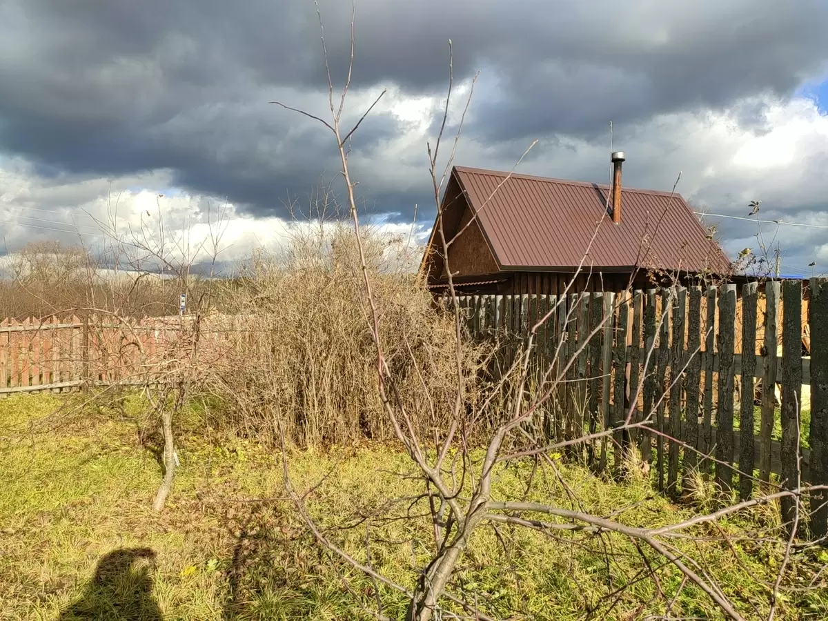 Как подготовить плодовый сад к зиме: советы по борьбе с вредителями и болезнями в октябре