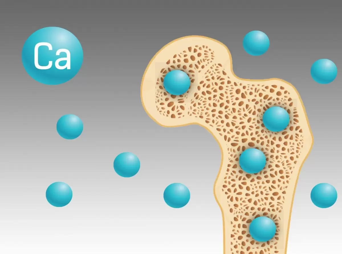 Кальций: опасный строитель для сосудов и как его направить по верному пути