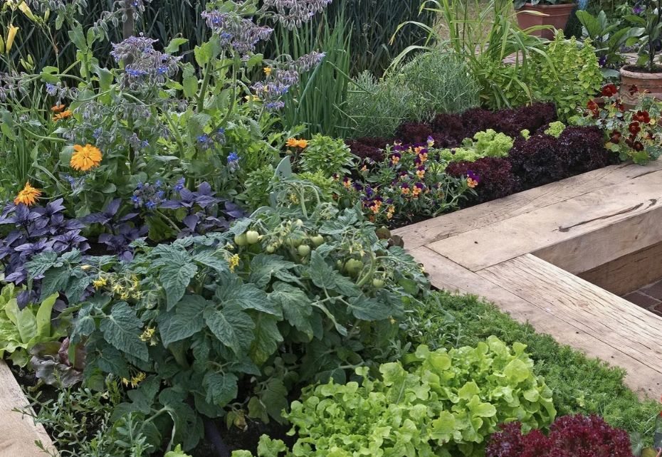 �������� �� ������: ��� ���� ����� ������ ����� ������ ������ ����