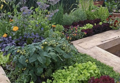 �������� �� ������: ��� ���� ����� ������ ����� ������ ������ ����