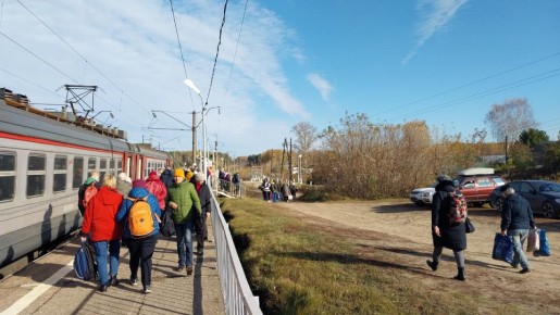 Весенние радости садоводов: как подготовить ваши грядки к новому сезону
