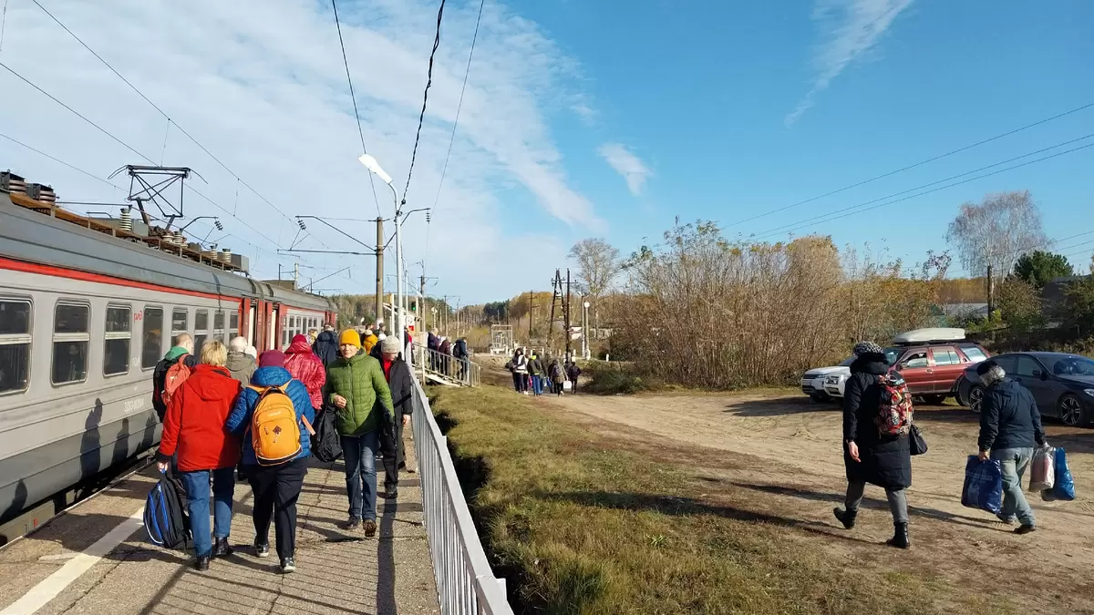 Весенние радости садоводов: как подготовить ваши грядки к новому сезону
