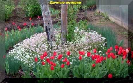 ������ �������� �� ������? ������ �� ��������� �����