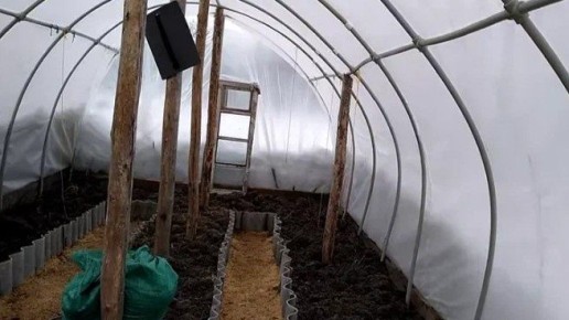 Как подготовить теплицу к весне без химии: три простых шага
