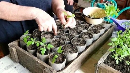 ����������� ������� �������: ��� ��������� ���������� ��� ������������� ������