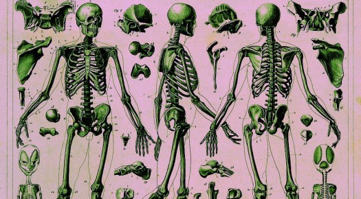 ������������ �����: ���������� ������� ����� � ������ ����� ������������