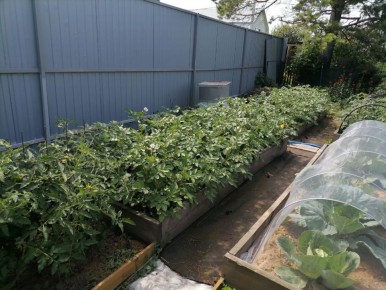 ��� ��������� �� ���������� �� ����� ��������: ������� ������ � ������ ������������