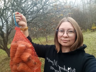 Как подготовить огород к зиме