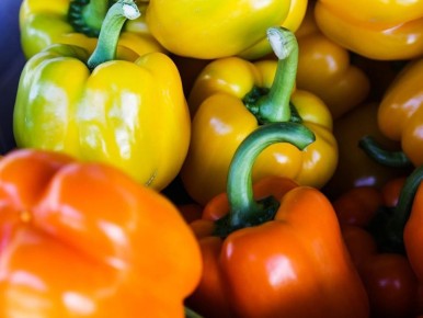 ������ ���� ����� �� ��������: �������� ������� � ������ �� �����