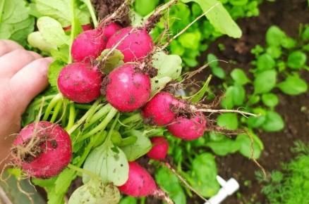 ���������� � ����������� ������: ��� ������ �������� ������� ������?