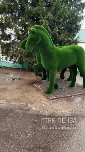 Карета подана, сударь, а автобус прибудет через 20 минут!