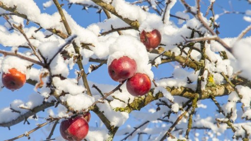 ��� �� 15 ����� ��������� ������ ����� � ���� � ���� ���