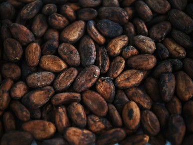 �����-���� ��� ���������: ������� ���� ������� ���� 4600 ��������