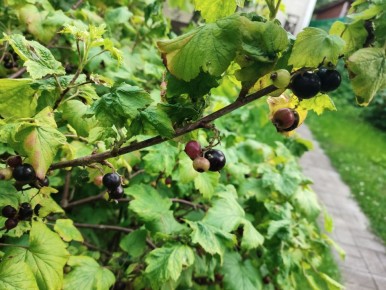 ��� ���������� ��������� �� ���� � ��������� ��� ��������