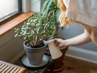 �������� ������: ������ ����� � �������� �����