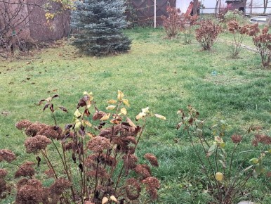 ������� ��������� ����: ��� �������� �������� �� ���������� ����� �����