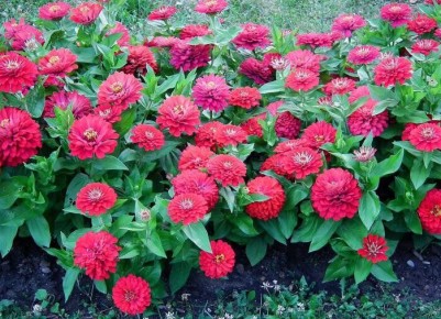 �����: ����� ������ ����� � �� ������������ �����