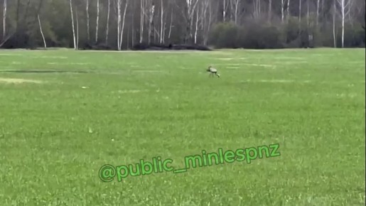 ������ �����: ������������� ������� ��� ������� � ���������� ������