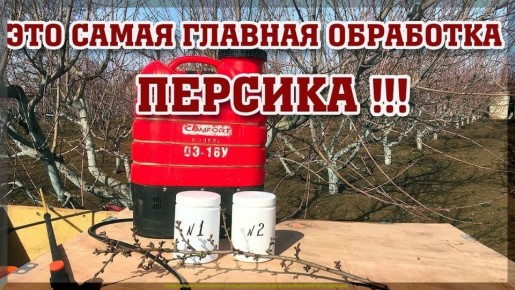 ������� ���� �� ���������: ��� �������� ������� �� �������� � ����������� � ����