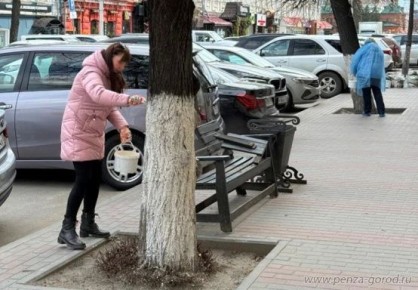 ������������� �������� ������� ������ �� ������� ��������