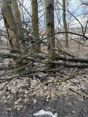 ����� ������� ���������� ��������� ������ � "����������" � ���������� �������