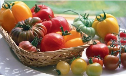 ������ �� �������� ������: �������� ���������� � ��������� �����