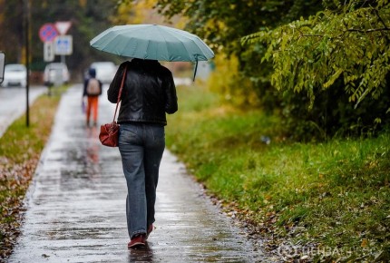 ���������: ����� ������ � ����� ����� ��������, ��������� � ��������