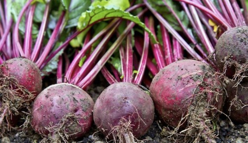 ������ ������ ������������ ����� �� ���� ������?