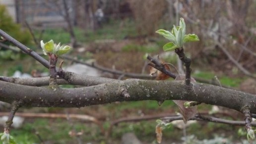 ��� �������� ���� ��� ������: 5 ������� ������ ��� ��������� �������� � ������ ����������� �����