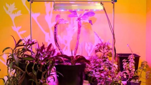 ��� ������� ��������� ��� ���������� ��������� �������: ��� �������