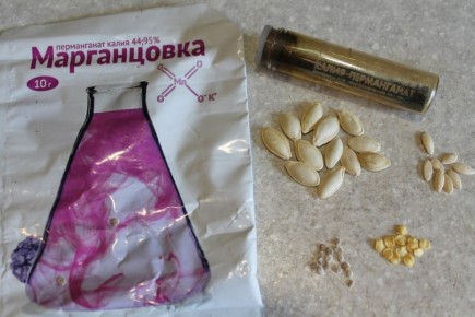 ��� ��������� ����������� ������ � ������