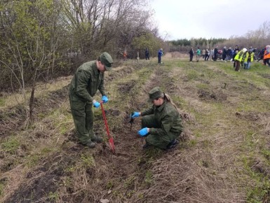 ���������� ������������� ���������� �������������� � �������������� ����� ���� ������