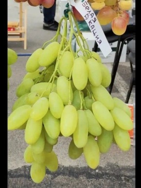 �������� ����� ������: ������ ������ � ���������� �������