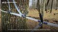 ���� �����������: � ��������� ������ ��� ������� ��� �������� ���������� ��� ������ �����������