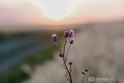� ����� 8 ��� ��������� �� +30 ��������, �������� ��������������� ����� � ������