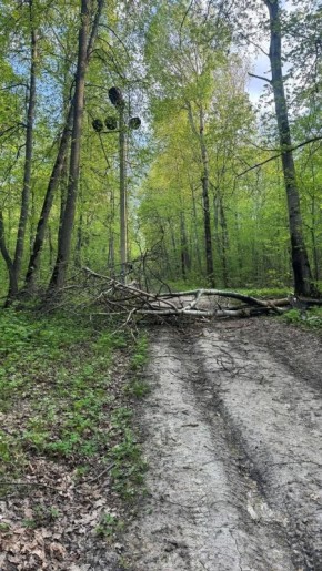 �� ���� - ����������� ���