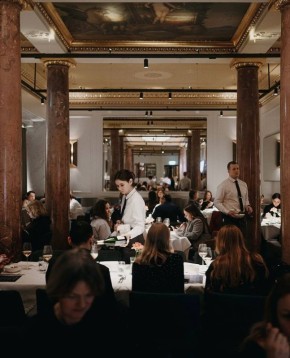 �������� ���������� � ���������� Novikov Group