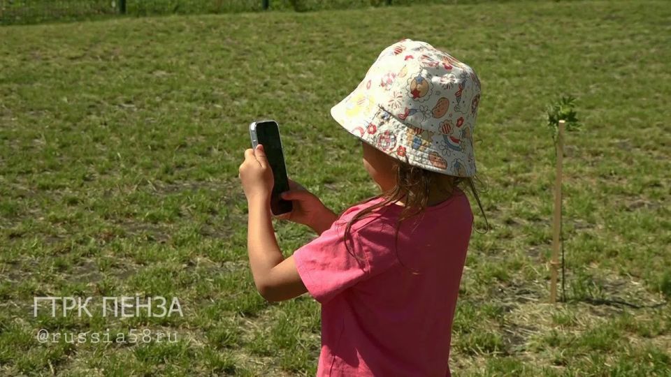 Пенза присоединилась к всероссийскому проекту «Моя зеленая Россия» Пенза присоединилась к всероссийскому проекту «Моя зеленая Россия»