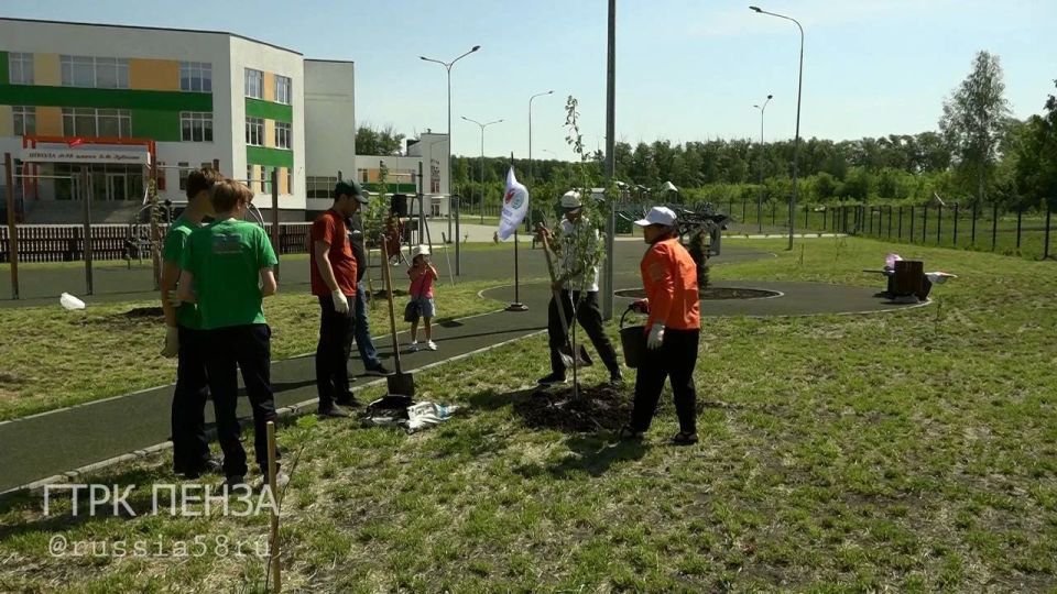 Пенза присоединилась к всероссийскому проекту «Моя зеленая Россия» Пенза присоединилась к всероссийскому проекту «Моя зеленая Россия»