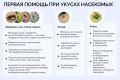 � �������� ������ �������� ���������� �� ������� � ������������ ������ ������