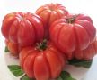Томат Подарок моей жене: крупные плоды и насыщенный вкус для салатов
