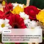 ��������� ���������� ������� ������� �� ������������� ����������������� ����� ����� ������ ������