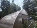 Секреты успешного выращивания помидоров в тенистой теплице