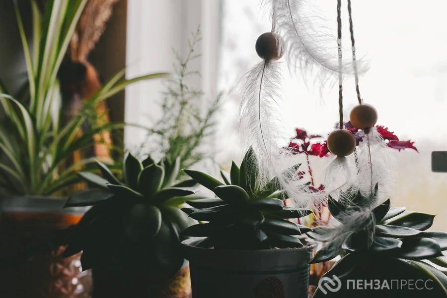 Как избежать аллергии в домашних условиях: чек-лист от пензенского врача