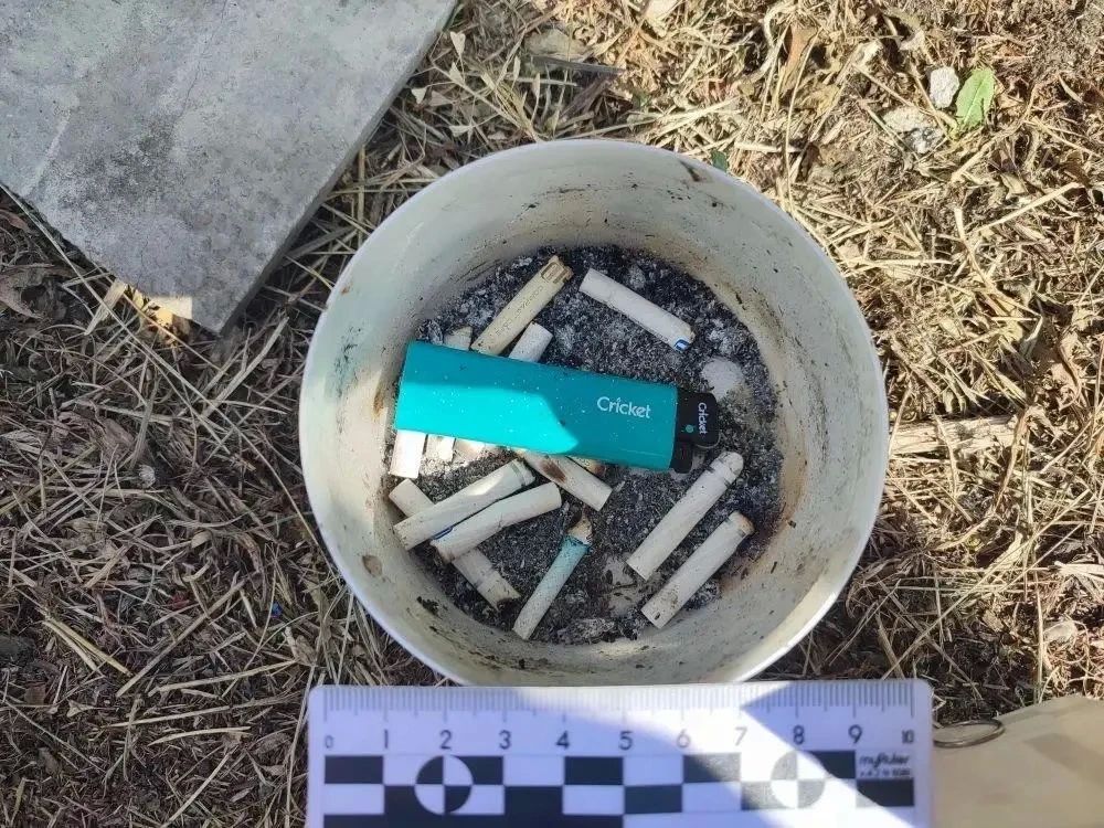В Пензенской области сотрудники полиции задержали подозреваемую в совершении особо тяжкого преступления В Пензенской области сотрудники полиции задержали подозреваемую в совершении особо тяжкого преступления