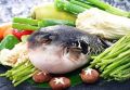 Опасные морепродукты: фугу и другие живые угрозы на вашем столе
