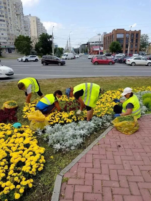 Олег Мельниченко: Благоустройство областного центра также обсудили на заседании правительства Олег Мельниченко: Благоустройство областного центра также обсудили на заседании правительства