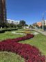 Специалисты МБУ «Пензавтодор» продолжают активно работать над благоустройством наших клумб! Мы проводим ежедневный полив, прополку, удобрение и другие необходимые работы, чтобы цветочные композиции радовали вас своим ярким...