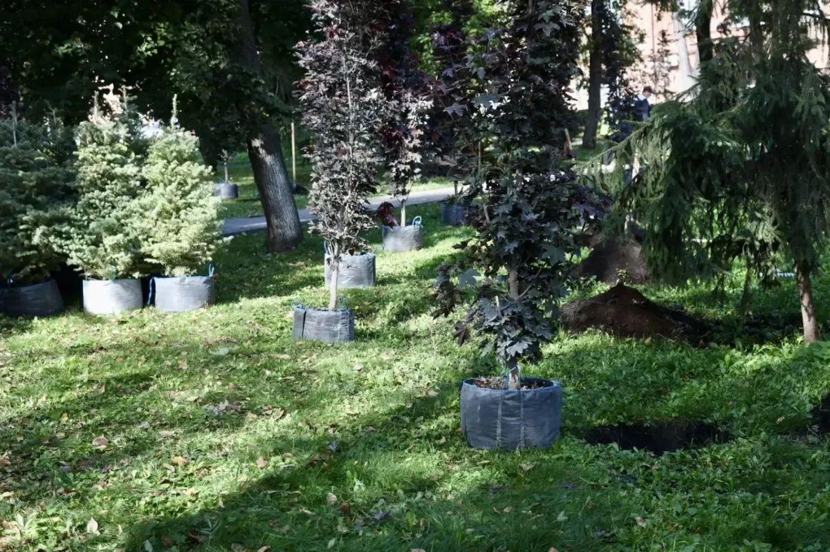 Олег Мельниченко: Дали старт осеннему этапу масштабного экологического проекта «Зеленая Пенза», в рамках которого весной высадили в нашем любимом городе 5 тысяч деревьев и кустарников Олег Мельниченко: Дали старт осеннему этапу масштабного экологического проекта «Зеленая Пенза», в рамках которого весной высадили в нашем любимом городе 5 тысяч деревьев и кустарников